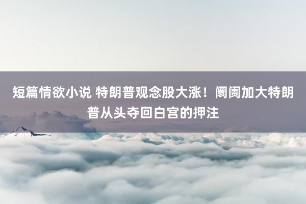 短篇情欲小说 特朗普观念股大涨！阛阓加大特朗普从头夺回白宫的押注