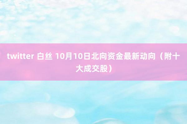 twitter 白丝 10月10日北向资金最新动向（附十大成交股）