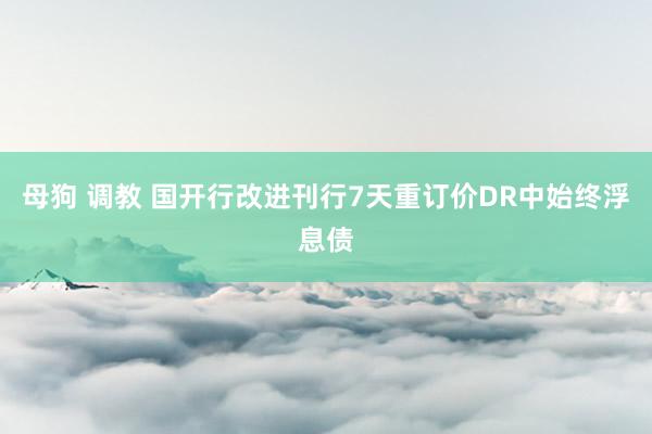 母狗 调教 国开行改进刊行7天重订价DR中始终浮息债