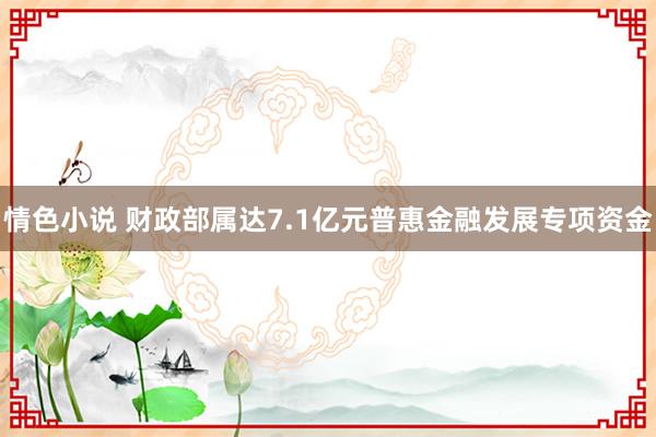 情色小说 财政部属达7.1亿元普惠金融发展专项资金